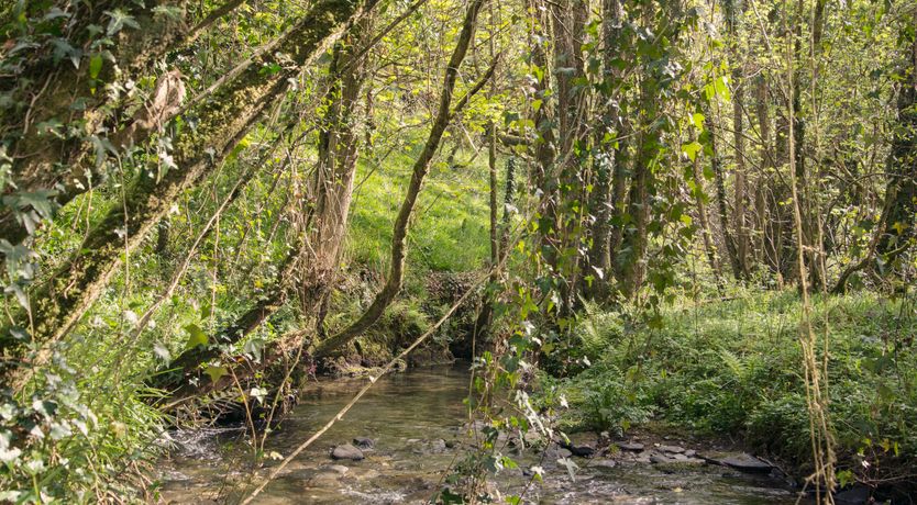 Photo of Llaethdy - The Dairy