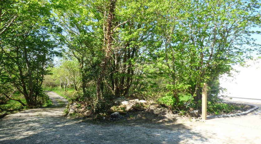 Photo of Hidden Gem Cottage