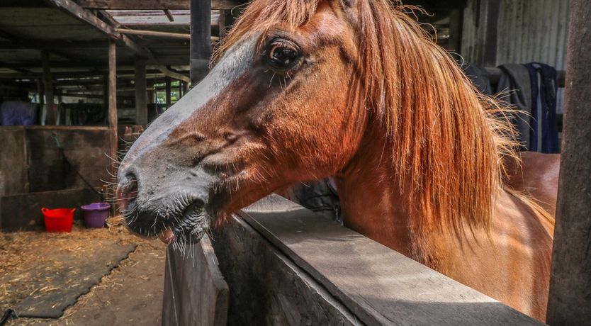 Photo of Hill Farm Cottage