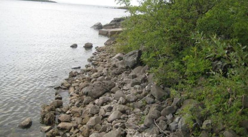 Photo of The Fishing Lodge Pet-Friendly Cottage