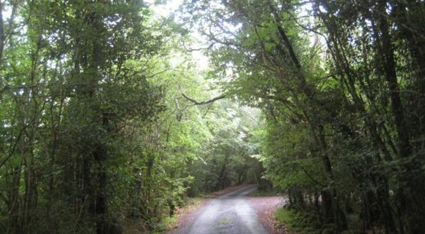 Photo of The Fishing Lodge Pet-Friendly Cottage