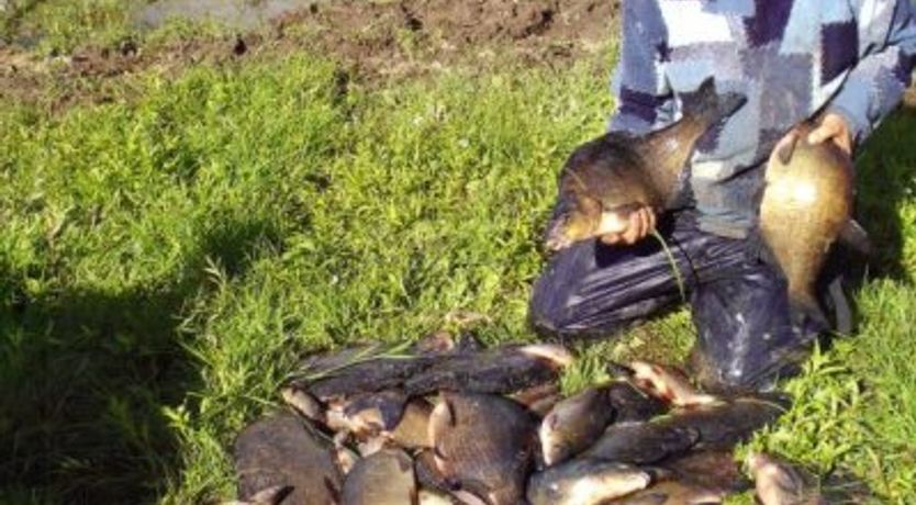 Photo of Inishmore Holiday Cottage