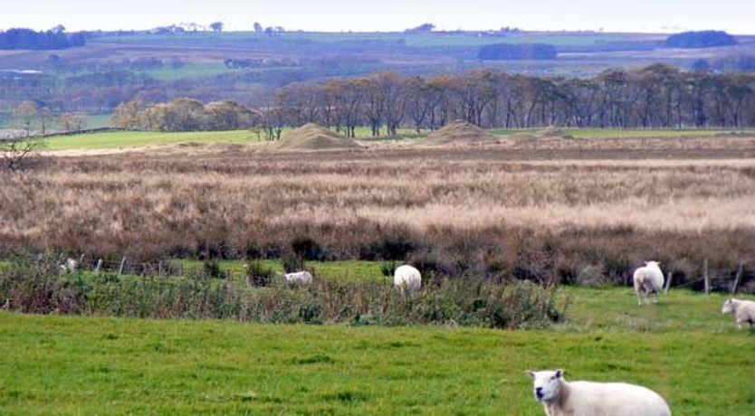 Photo of Sky Blue Cottage