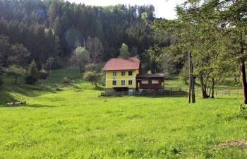 Krechen Alm Holiday Home