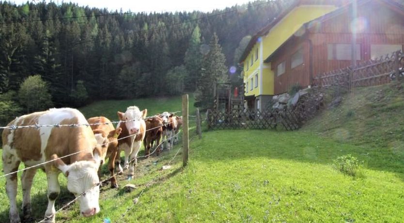 Photo of Krechen Alm