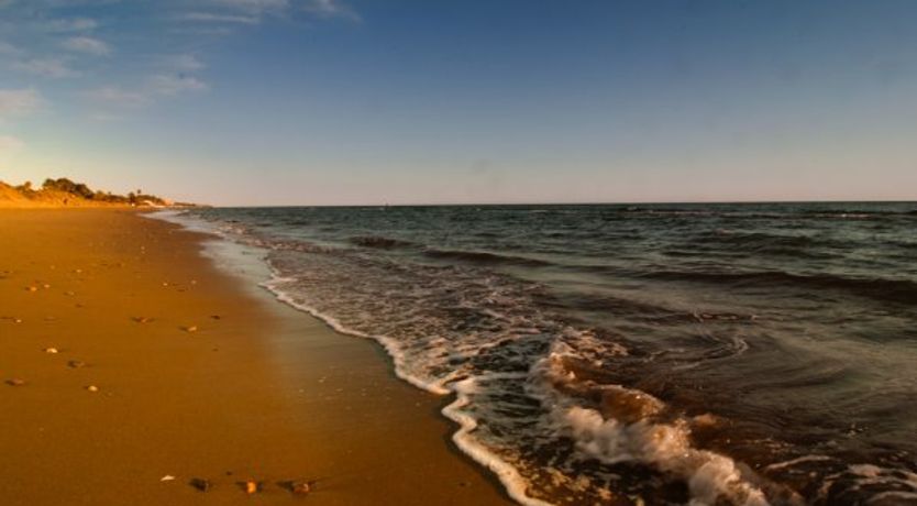 Photo of First line on the beach