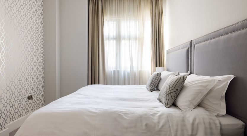 Photo of Paddington Bear