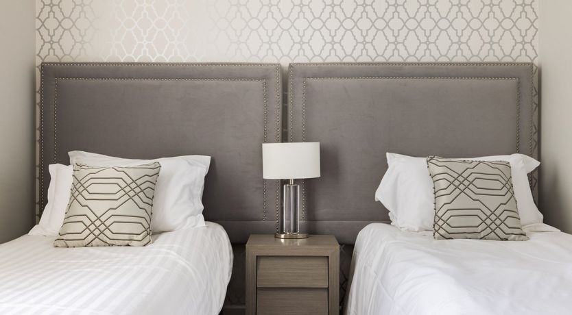 Photo of Paddington Bear