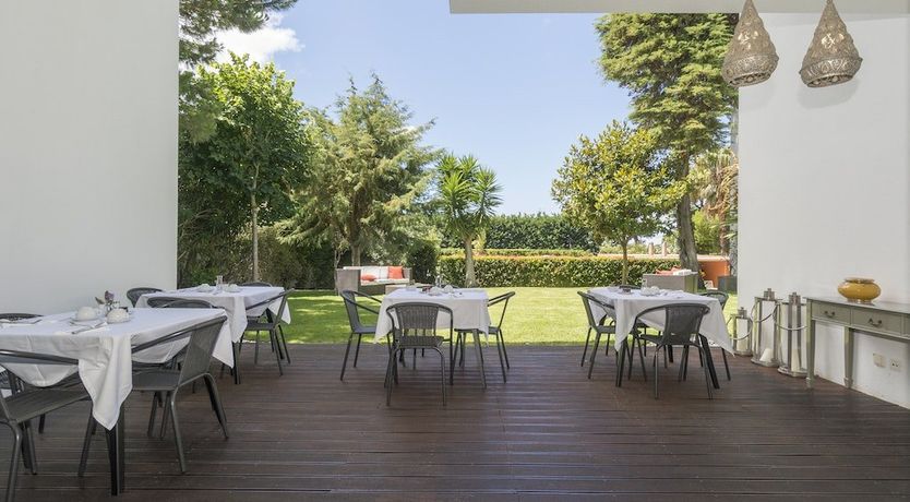 Photo of Modern Botanica