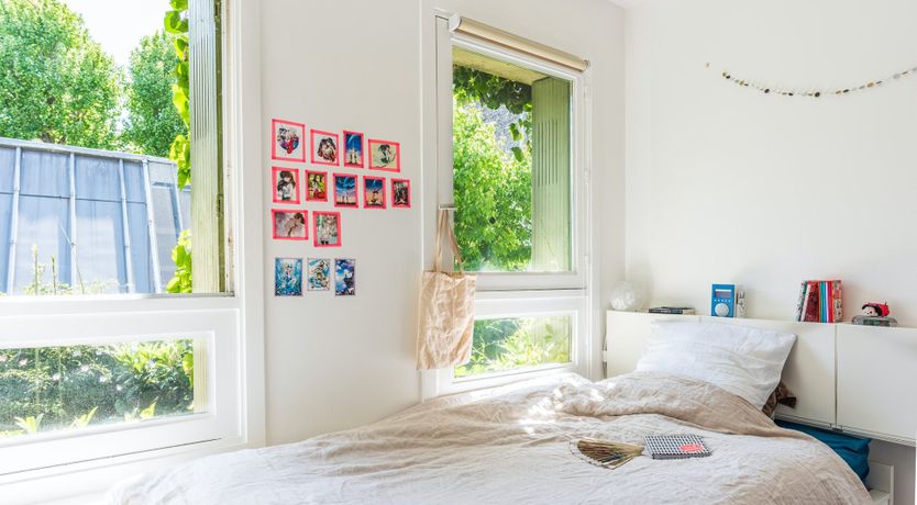 Photo of Steal the Show