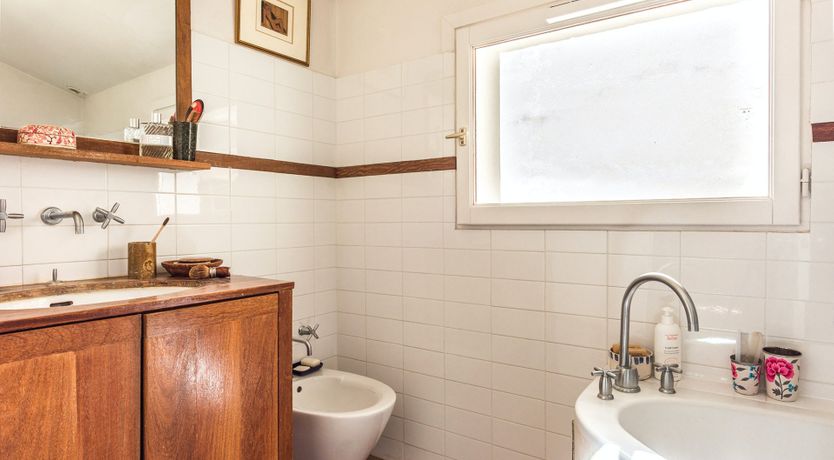 Photo of Steal the Show