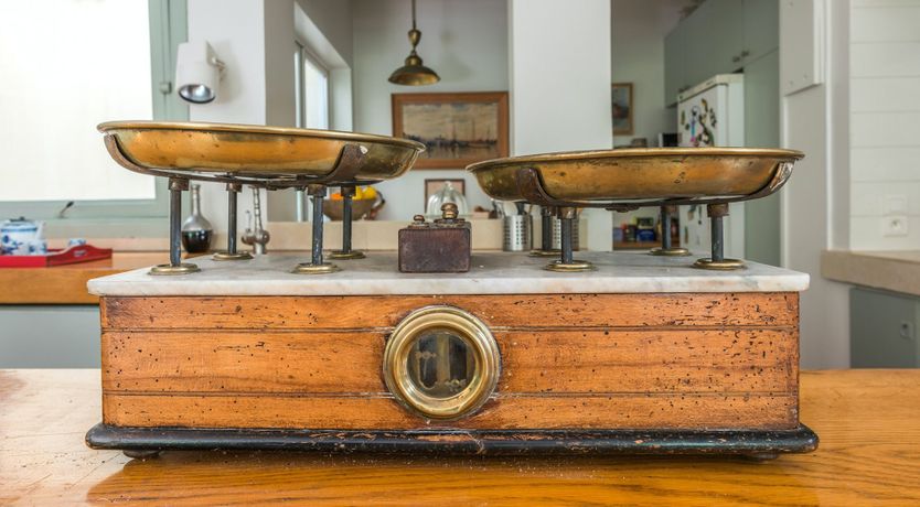 Photo of Steal the Show