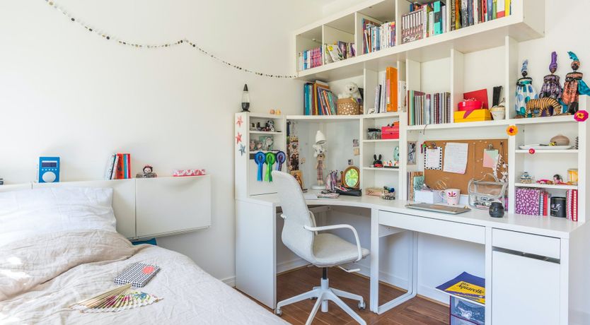 Photo of Steal the Show