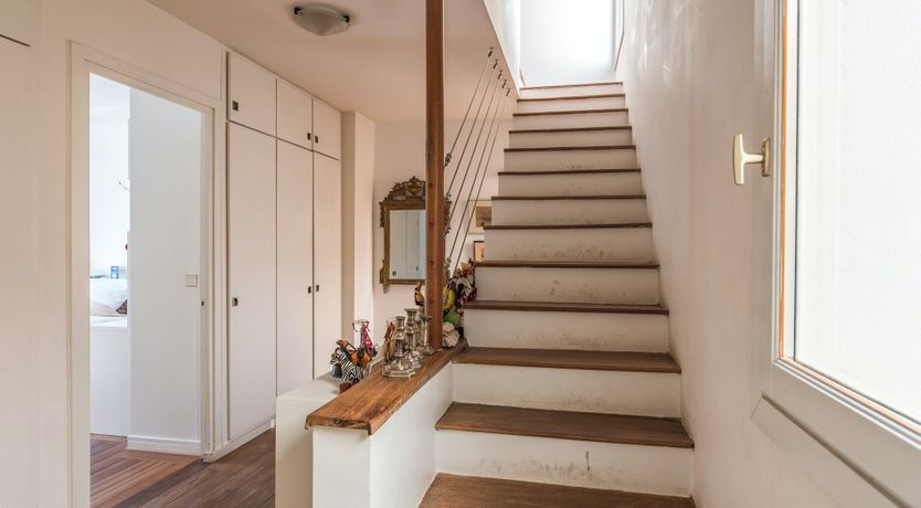 Photo of Steal the Show