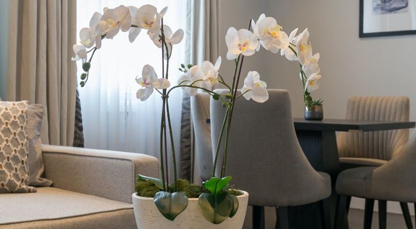 Photo of Wendy Darling