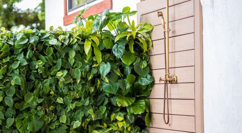 Photo of California Beamin'