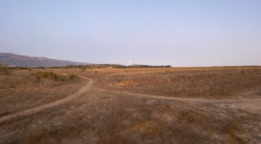 Photo of California Beamin'