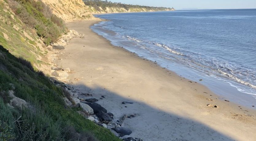 Photo of California Beamin'