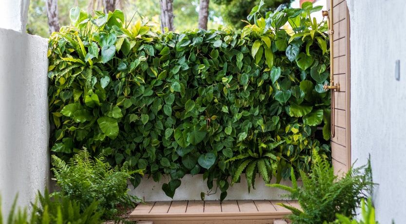 Photo of California Beamin'