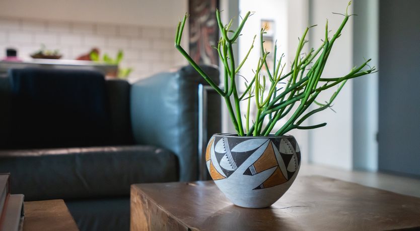 Photo of Curio Tierra