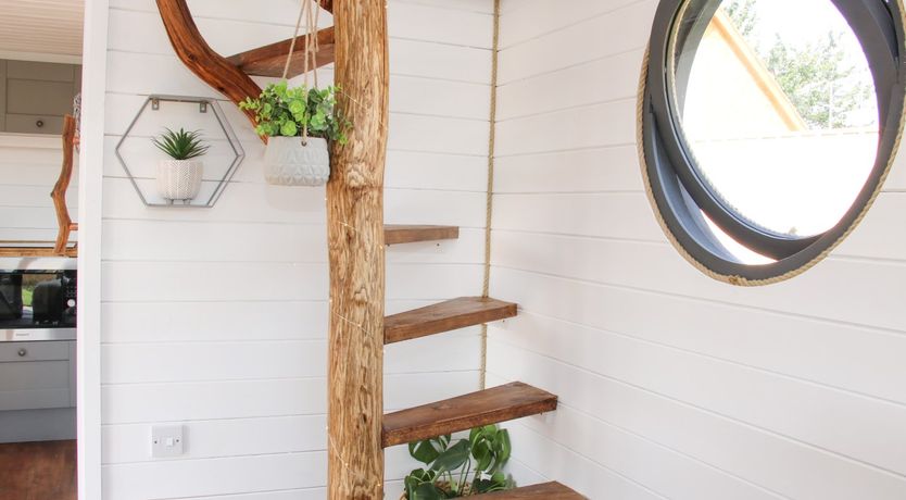 Photo of Cherry Blossom