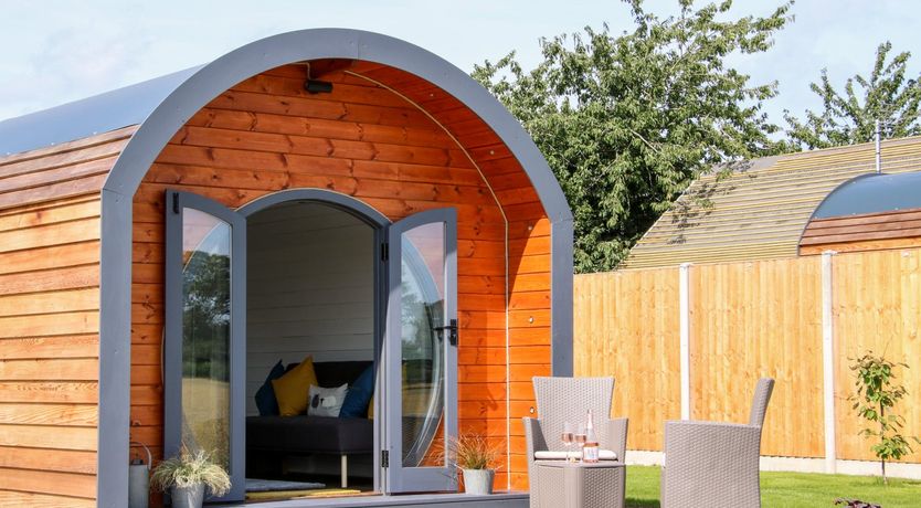 Photo of Withy Willows