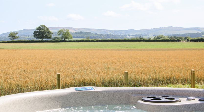 Photo of Withy Willows