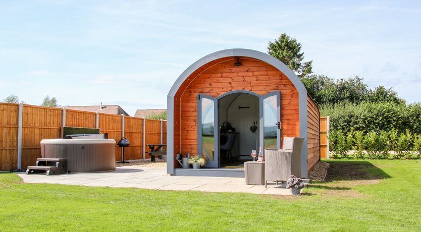 Photo of Withy Willows