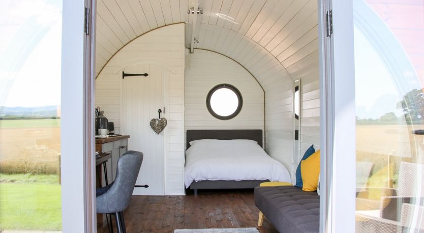 Photo of Withy Willows