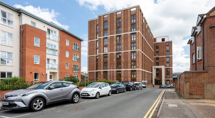 Photo of Sunflower Whisperings