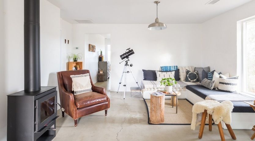 Photo of Palo Verde's Bloom