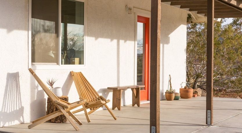 Photo of Palo Verde's Bloom