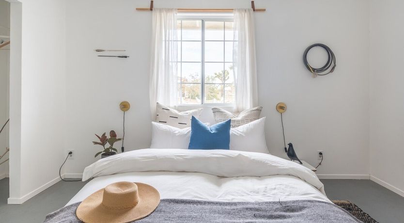 Photo of Palo Verde's Bloom