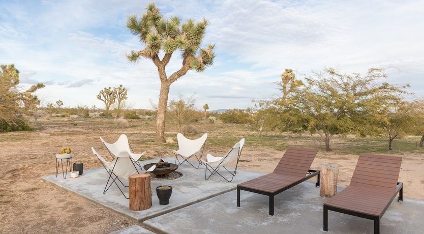 Photo of Palo Verde's Bloom