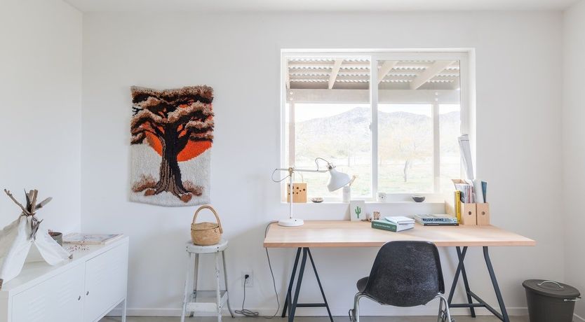 Photo of Palo Verde's Bloom