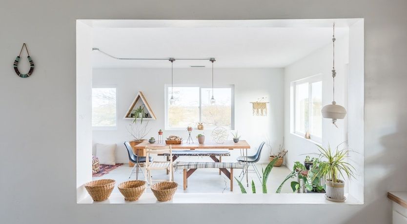 Photo of Palo Verde's Bloom