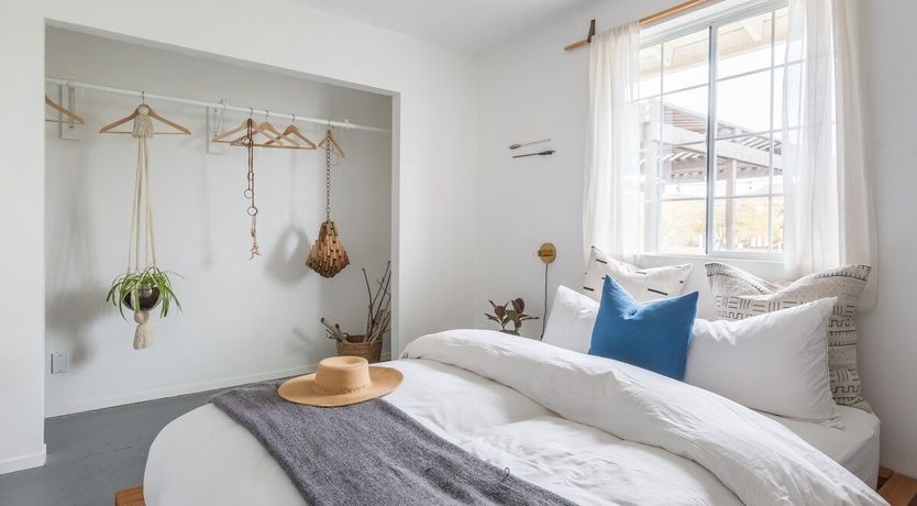 Photo of Palo Verde's Bloom