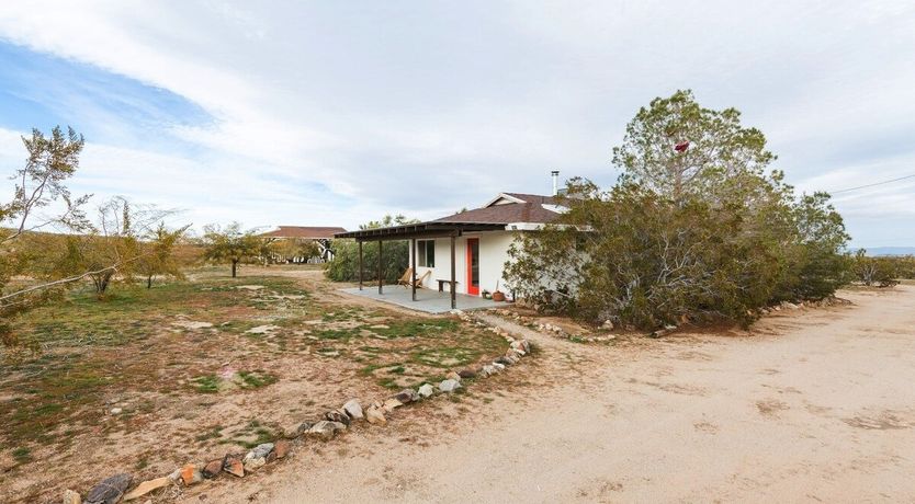 Photo of Palo Verde's Bloom