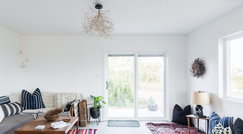 Photo of Palo Verde's Bloom