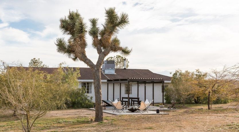 Photo of Palo Verde's Bloom