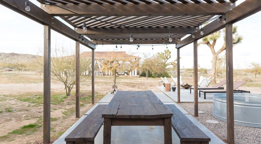 Photo of Palo Verde's Bloom