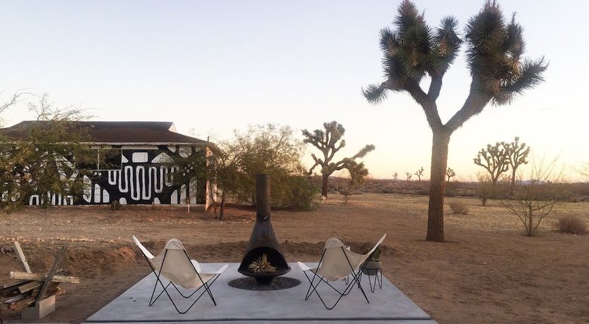 Photo of Palo Verde's Bloom