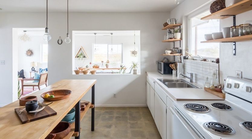 Photo of Palo Verde's Bloom