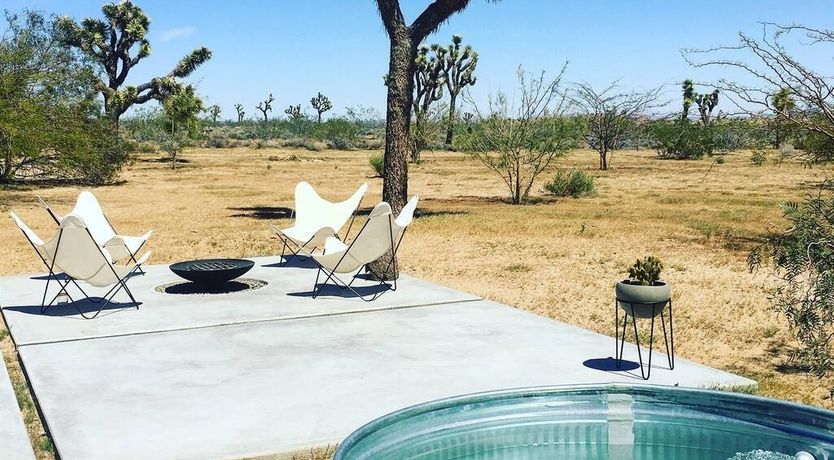 Photo of Palo Verde's Bloom