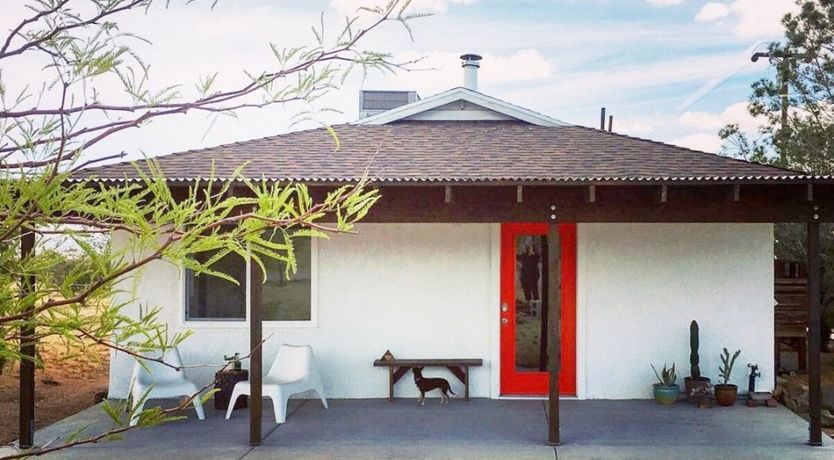 Photo of Palo Verde's Bloom