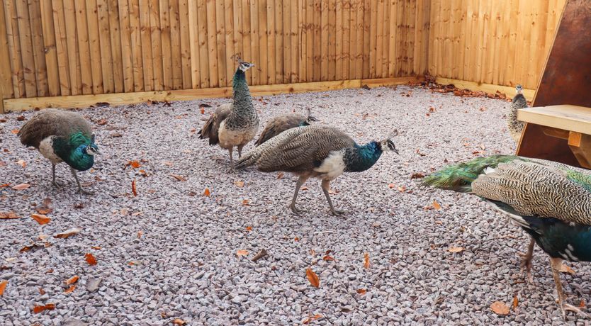 Photo of The Granary