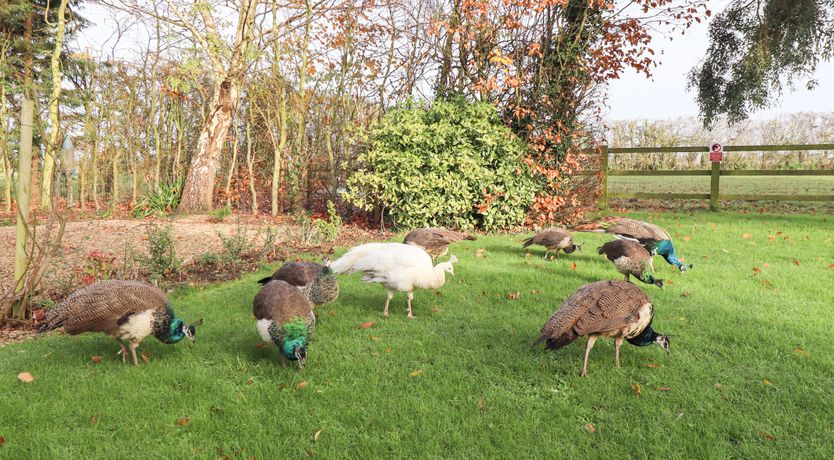 Photo of The Granary