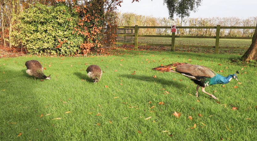 Photo of The Granary