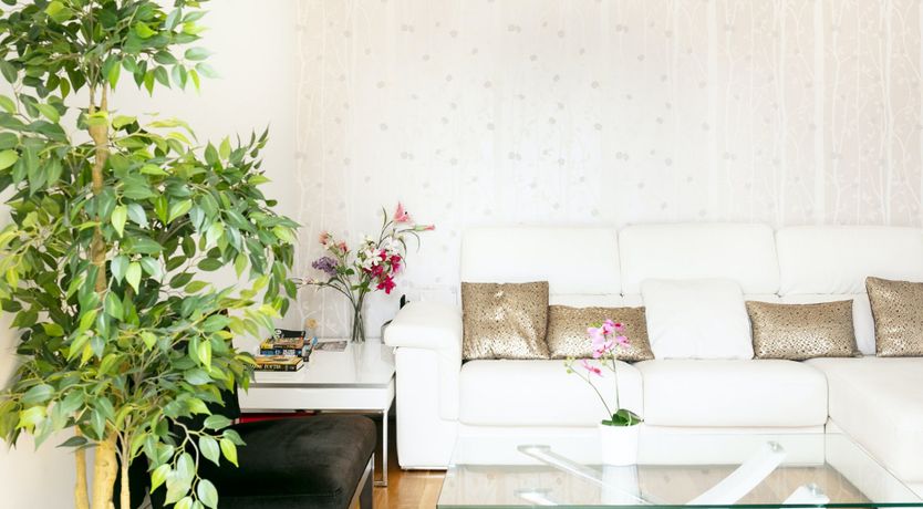 Photo of The King's View