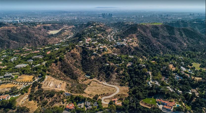 Photo of Canyon Cacti